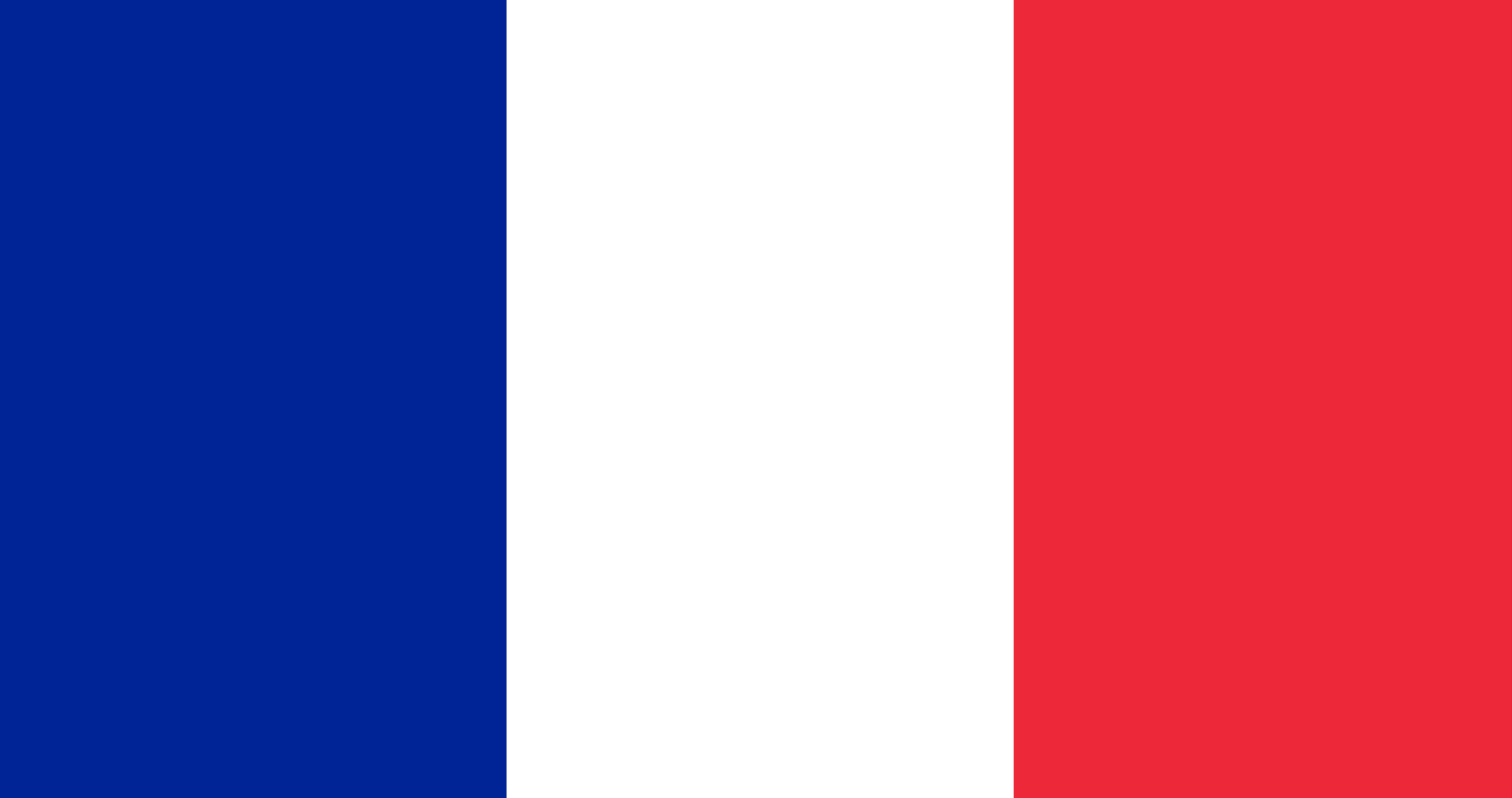 Französisches Flagge